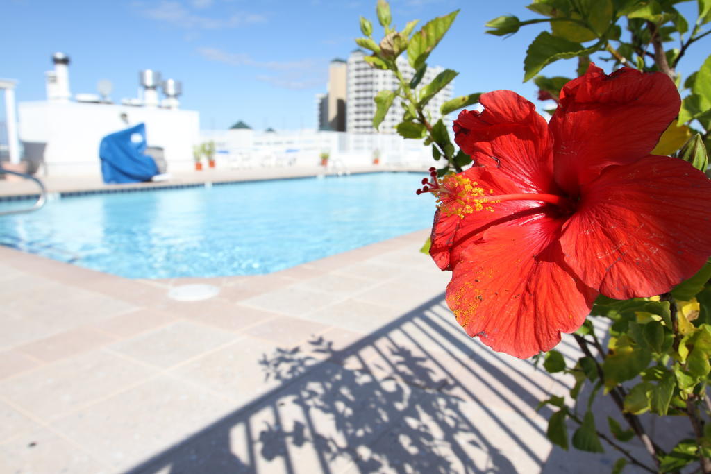 Princess Bayside Beach Hotel Ocean City Exterior foto