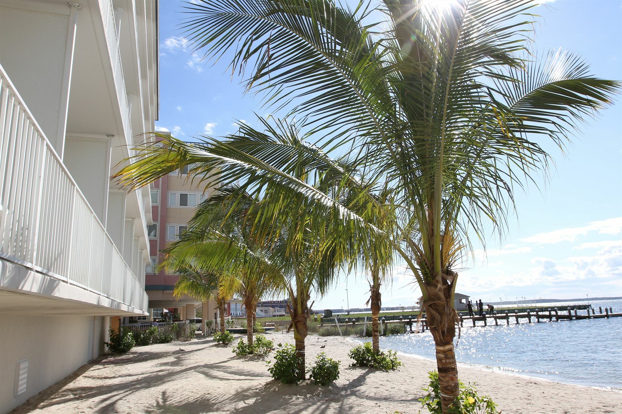 Princess Bayside Beach Hotel Ocean City Exterior foto